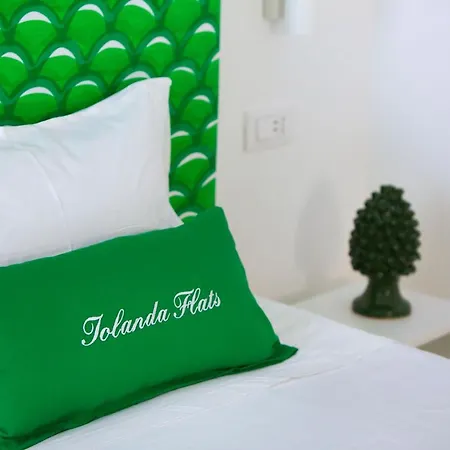 Guest house Iolanda Flats *